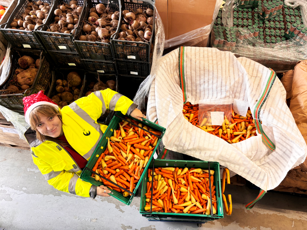 A volunteer in hi-vis and a Santa hat, holding a crate of bright yellow and orange carrots. They are surrounded by other winter veg. in crates and sacks. The photo is taken from above looking down.