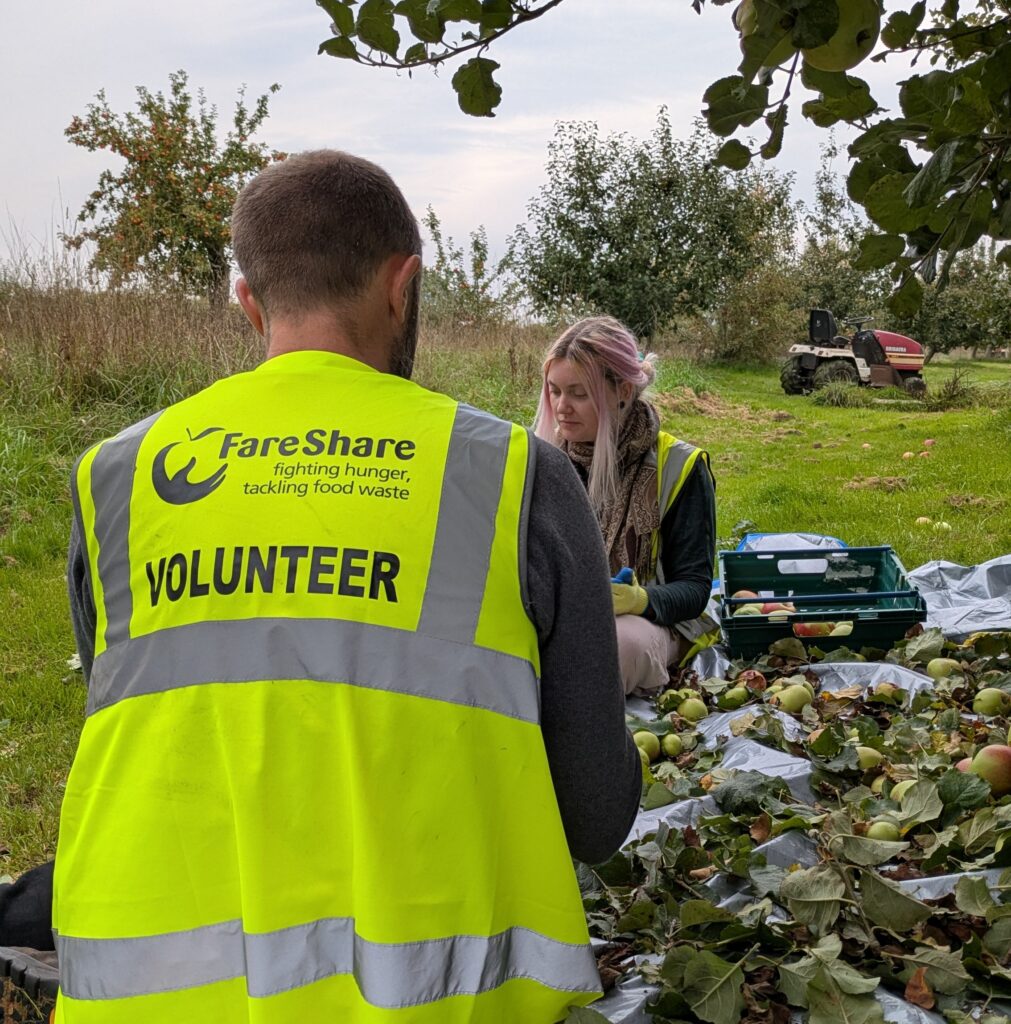Man in the foreground has his back to the camera. He's wearing a high vis vest that says 'volunteer' and has the FareShare South West logo on. He is sitting opposite a woman, also wearing high vis. They are both sorting apples in an orchard