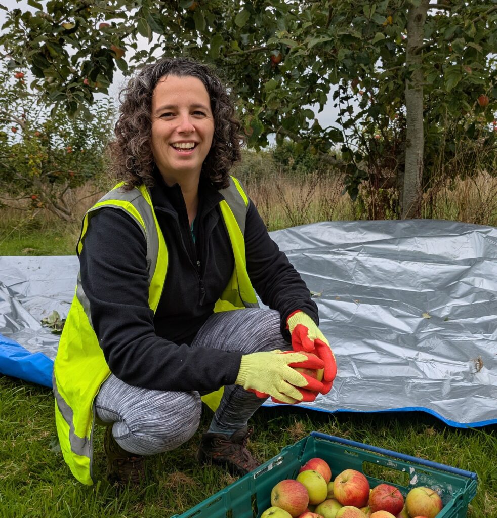 Woman wearing a high vis vest and black jumper smiles at the camera as she sorts apples into a crate. She is crouching in an orchard