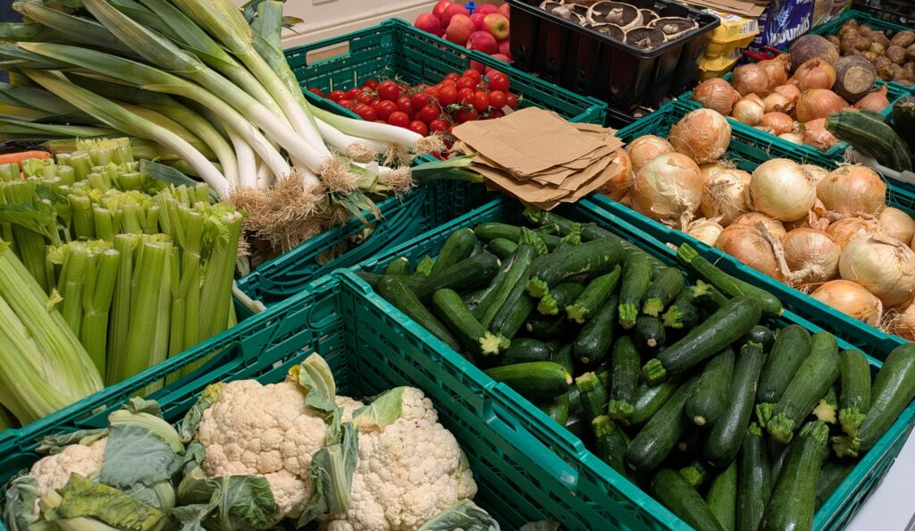 A variety of colourful vegetables stacked in green crates