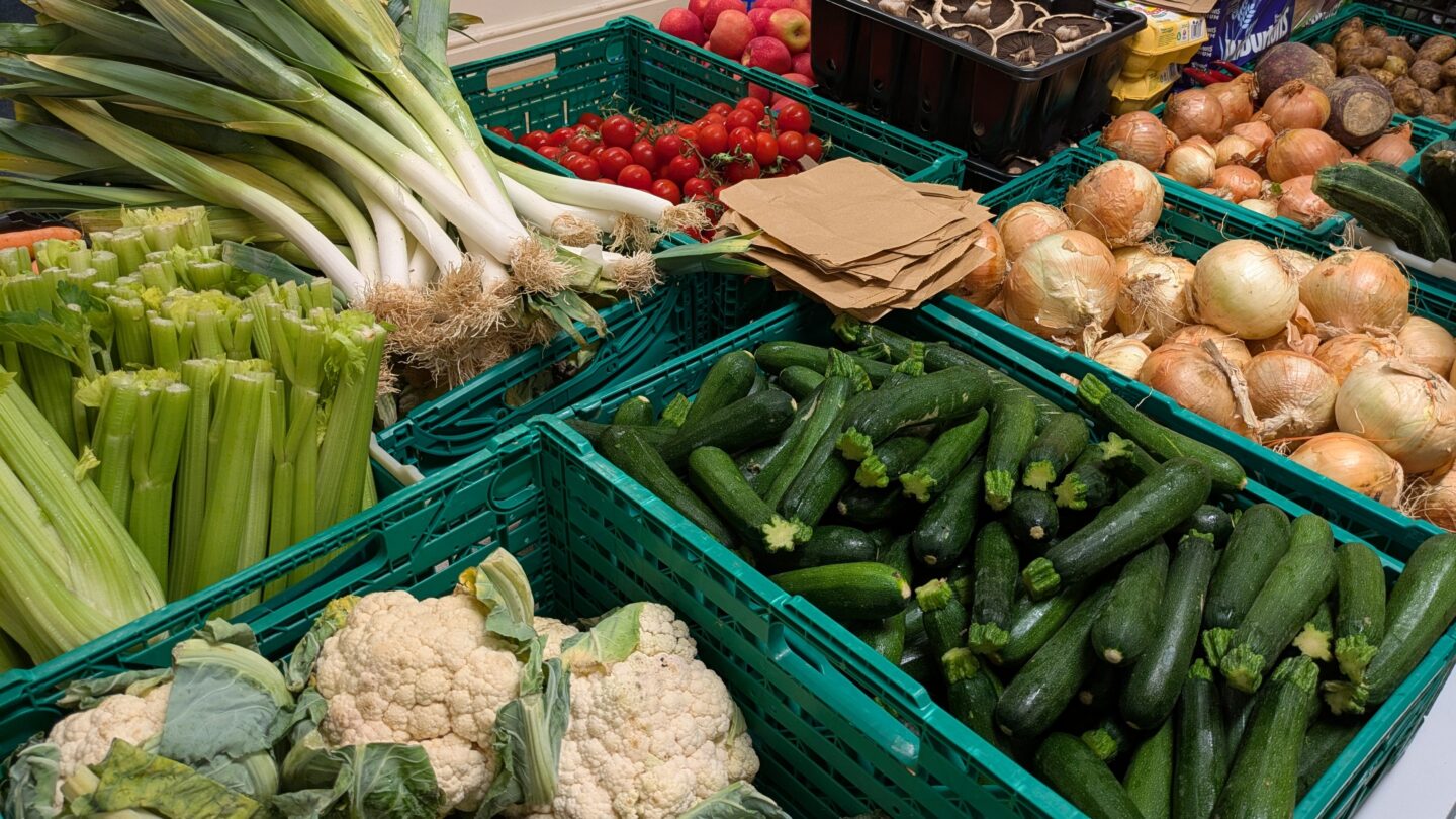 A variety of colourful vegetables stacked in green crates